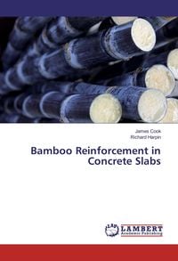 Produktbild: Bamboo Reinforcement in Concrete Slabs
