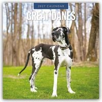 Produktbild: Great Danes &ndash; Deutsche Dogge 2027 &ndash; 16-Monatskalender