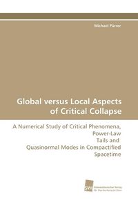 Produktbild: Global versus Local Aspects of Critical Collapse