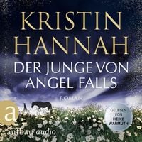 Produktbild: Der Junge von Angel Falls