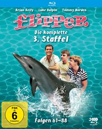Bild vom Artikel Flipper - Die komplette 3. Staffel  [3 BRs] (Fernsehjuwelen) vom Autor Brian Kelly