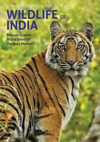 Produktbild: A Photographic Guide to the Wildlife of India