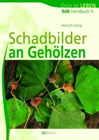 Produktbild: BdB-Handbuch 10. Schadbilder an Geh&ouml;lzen