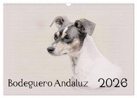 Produktbild: Bodeguero Andaluz 2026 (Wandkalender 2026 DIN A3 quer), CALVENDO Monatskalender