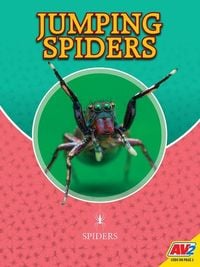 Produktbild: Jumping Spiders