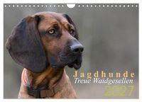 Produktbild: Jagdhunde - Treue Waidgesellen (Wandkalender 2027 DIN A4 quer), CALVENDO Monatskalender