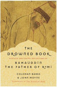 Produktbild: The Drowned Book