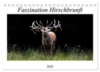 Produktbild: Faszination Hirschbrunft (Tischkalender 2026 DIN A5 quer), CALVENDO Monatskalender