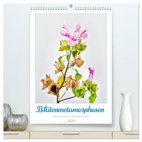 Produktbild: Bl&uuml;tenmetamorphosen (hochwertiger Premium Wandkalender 2026 DIN A2 hoch), Kunstdruck in Hochglanz