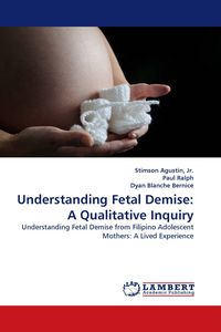 Produktbild: Understanding Fetal Demise: A Qualitative Inquiry
