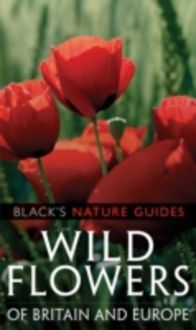 Produktbild: Spohn, M: Wild Flowers of Britain and Europe