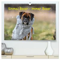 Produktbild: Einmal Boxer - immer Boxer (hochwertiger Premium Wandkalender 2026 DIN A2 quer), Kunstdruck in Hochglanz