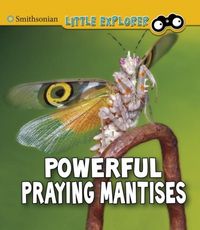 Produktbild: Higgins, M: Powerful Praying Mantises