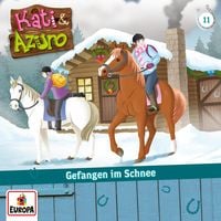 Produktbild: Folge 11: Gefangen im Schnee