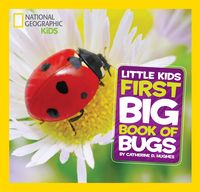 Produktbild: Little Kids First Big Book of Bugs