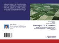 Produktbild: Working of EFS in Extension