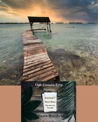 Produktbild: Our Cousin Trip Shorts Journal 7 Bora Bora The Society Islands