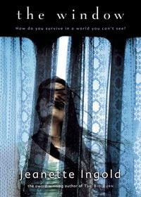 Produktbild: The Window