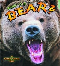 Produktbild: What Is a Bear?