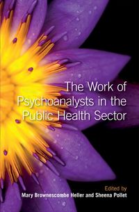 Produktbild: The Work of Psychoanalysts in the Public Health Sector