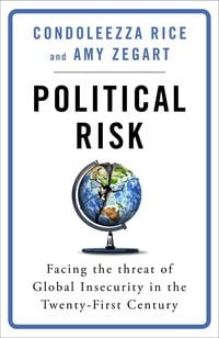 Produktbild: Political Risk