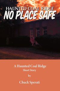 Produktbild: No Place Safe (Haunted Coal Ridge, #17)