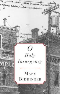 Produktbild: O Holy Insurgency