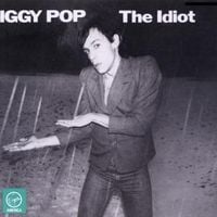 Produktbild: Pop, I: Idiot