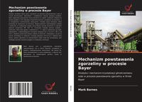 Produktbild: Mechanizm powstawania zgorzeliny w procesie Bayer