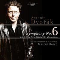 Produktbild: Sinfonie 6/Der Wassermann op.107
