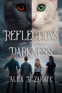 Produktbild: Reflections In Darkness (Connections, #2)