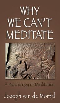 Produktbild: Why We Can't Meditate