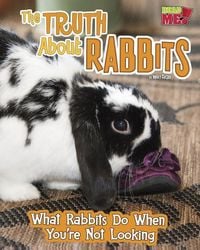 Produktbild: The Truth about Rabbits