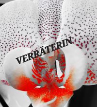Produktbild: Verr&auml;terin