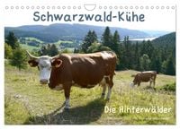 Produktbild: Schwarzwald-K&uuml;he - Die Hinterw&auml;lder (Wandkalender 2027 DIN A4 quer), CALVENDO Monatskalender