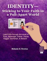 Produktbild: Identity-Sticking to Your Faith in a Pull-Apart World
