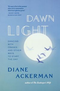 Produktbild: Dawn Light
