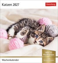 Produktbild: Katzen Postkartenkalender 2027 - Wochenkalender mit 53 Postkarten