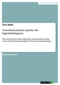 Produktbild: Sozio&ouml;konomische Aspekte der Jugenddelinquenz
