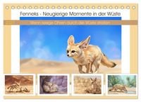Produktbild: Fenneks - Neugierige Momente in der W&uuml;ste (Tischkalender 2027 DIN A5 quer), CALVENDO Monatskalender