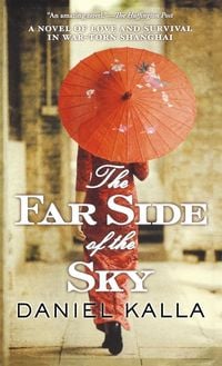 Bild vom Artikel Far Side of the Sky vom Autor Daniel Kalla