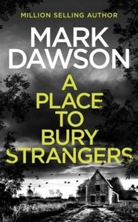 Produktbild: A Place to Bury Strangers