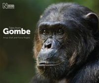Produktbild: Shah, A: Tales from Gombe
