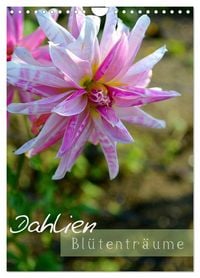 Produktbild: Dahlien - Bl&uuml;tentr&auml;ume (Wandkalender 2026 DIN A4 hoch), CALVENDO Monatskalender