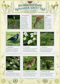 Produktbild: Richmond Park Summer Spotter