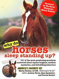 Produktbild: Why Do Horses Sleep Standing U