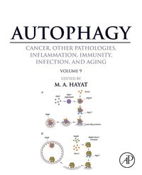 Produktbild: Autophagy: Cancer, Other Pathologies, Inflammation, Immunity, Infection, and Aging