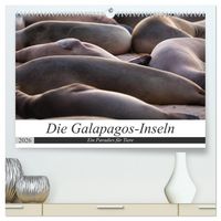 Produktbild: Galapagos-Inseln - Ein Paradies f&uuml;r Tiere (hochwertiger Premium Wandkalender 2026 DIN A2 quer), Kunstdruck in Hochglanz