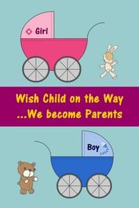 Produktbild: Wish Child on the Way...We become Parents