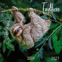 Produktbild Faultier 2027